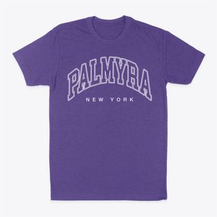 Palmyra New York Inline Classic Dad T-Shirt