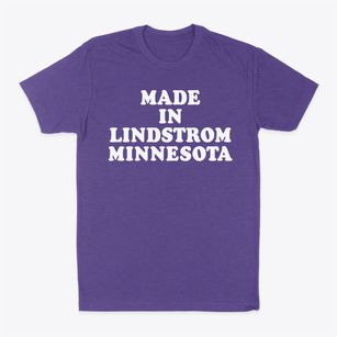Lindstrom Minnesota Classic 70s Classic Dad T-Shirt