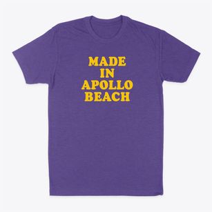 Apollo Beach Florida Classic 70s Classic Dad T-Shirt