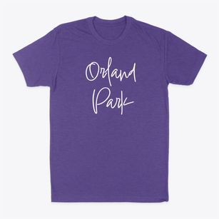 Orland Park Illinois Freestyle Classic Dad T-Shirt