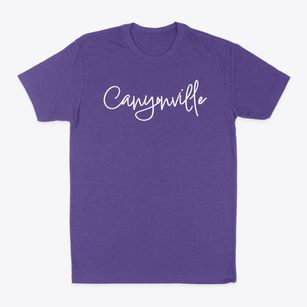 Canyonville Oregon Freestyle Classic Dad T-Shirt