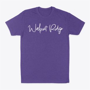 Walnut Ridge Delaware Freestyle Classic Dad T-Shirt