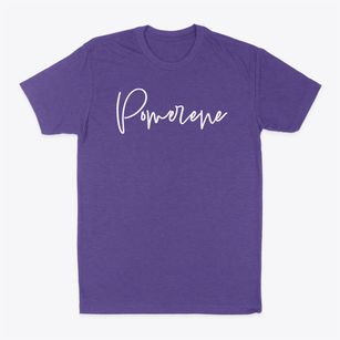 Pomerene Arizona Freestyle Classic Dad T-Shirt