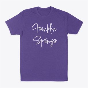 Franklin Springs New York Freestyle Classic Dad T-Shirt