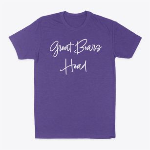Great Boars Head New Hampshire Freestyle Classic Dad T-Shirt
