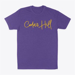 Cedar Hill New York Freestyle Classic Dad T-Shirt