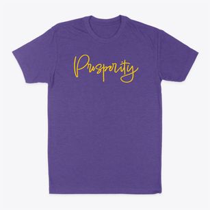 Prosperity Missouri Freestyle Classic Dad T-Shirt