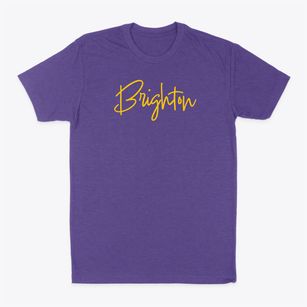 Brighton Michigan Freestyle Classic Dad T-Shirt
