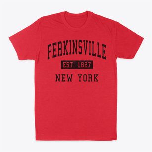 Perkinsville New York Classic Established Classic Dad T-Shirt
