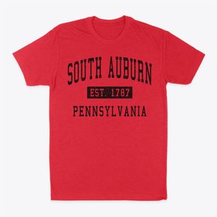 South Auburn Pennsylvania Classic Established Classic Dad T-Shirt