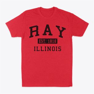 Ray Illinois Classic Established Classic Dad T-Shirt