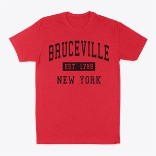 Bruceville New York Classic Established Classic Dad T-Shirt