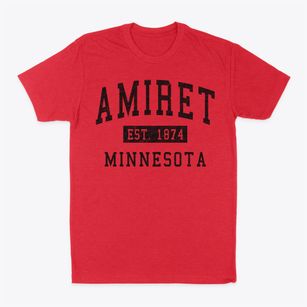 Amiret Minnesota Classic Established Classic Dad T-Shirt