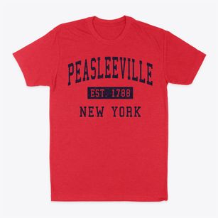 Peasleeville New York Classic Established Classic Dad T-Shirt