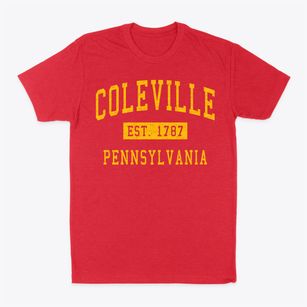 Coleville Pennsylvania Classic Established Classic Dad T-Shirt