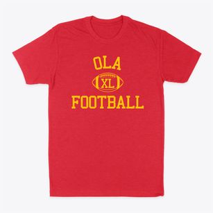 Our Lady The Assumption School Classic Football Classic Dad T-Shirt