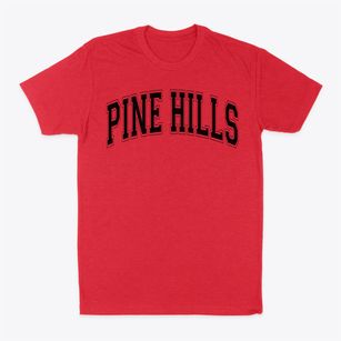 Pine Hills Christian Academy Varsity Arch Classic Dad T-Shirt