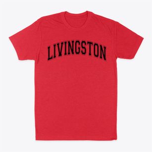 Livingston Elementary School Varsity Arch Classic Dad T-Shirt