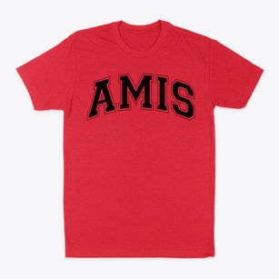 Academy Of Multilingual Immersion Studies Varsity Arch Classic Dad T-Shirt