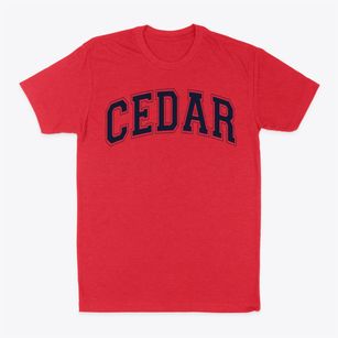 Cedar Chapel Special School Varsity Arch Classic Dad T-Shirt