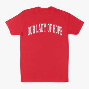 Our Lady Of Hope School Varsity Arch Classic Dad T-Shirt