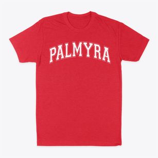 Palmyra Middle School Varsity Arch Classic Dad T-Shirt