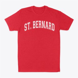 Saint Bernard Saint Francis Xavier Varsity Arch Classic Dad T-Shirt