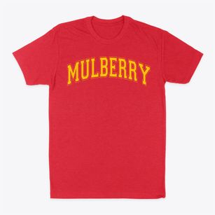Mulberry School Varsity Arch Classic Dad T-Shirt