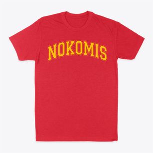 Nokomis Montessori Magnet School Varsity Arch Classic Dad T-Shirt