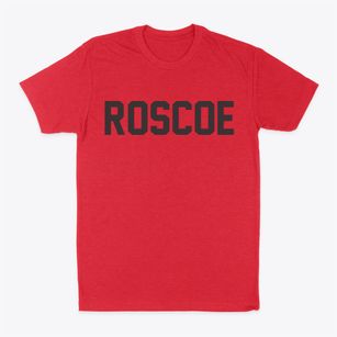 Roscoe Illinois Classic Block Classic Dad T-Shirt
