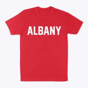 Albany Wyoming Classic Block Classic Dad T-Shirt
