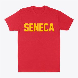 Seneca Illinois Classic Block Classic Dad T-Shirt