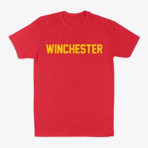 Winchester Illinois Classic Block Classic Dad T-Shirt