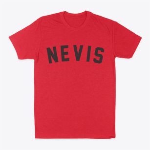 Nevis Minnesota Classic Curve Classic Dad T-Shirt