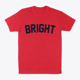 Bright Indiana Classic Curve Classic Dad T-Shirt