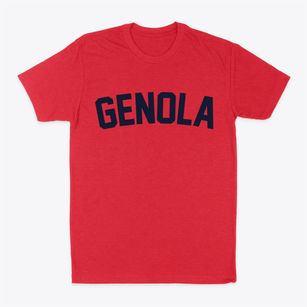 Genola Utah Classic Curve Classic Dad T-Shirt