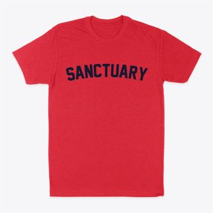 Sanctuary Texas Classic Curve Classic Dad T-Shirt