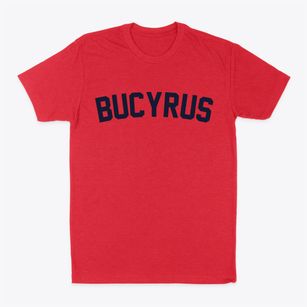 Bucyrus Kansas Classic Curve Classic Dad T-Shirt