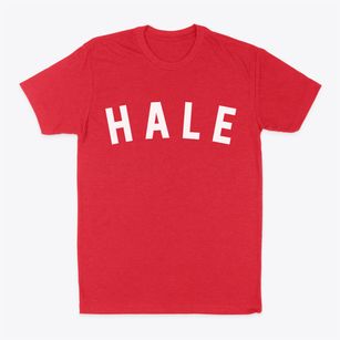 Hale Missouri Classic Curve Classic Dad T-Shirt