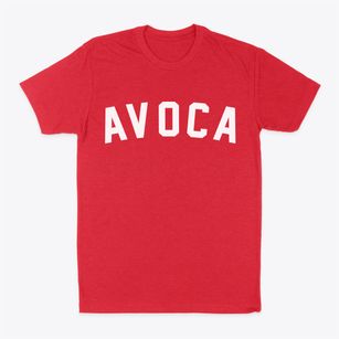 Avoca Nebraska Classic Curve Classic Dad T-Shirt