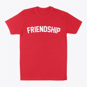 Friendship Ohio Classic Curve Classic Dad T-Shirt
