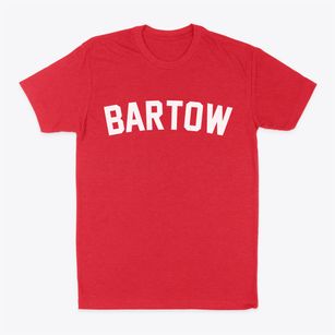 Bartow West Virginia Classic Curve Classic Dad T-Shirt