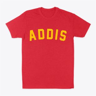 Addis Louisiana Classic Curve Classic Dad T-Shirt