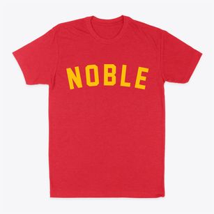 Noble Illinois Classic Curve Classic Dad T-Shirt