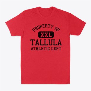 Tallula Illinois Athletic Dept Classic Dad T-Shirt