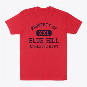 Blue Hill Nebraska Athletic Dept Classic Dad T-Shirt