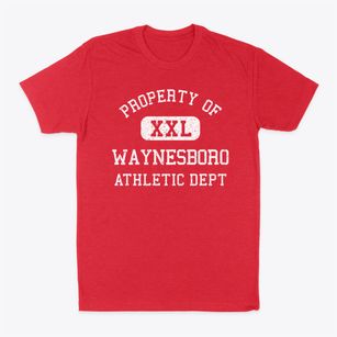 Waynesboro Georgia Athletic Dept Classic Dad T-Shirt