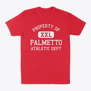 Palmetto Louisiana Athletic Dept Classic Dad T-Shirt