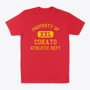 Cokato Minnesota Athletic Dept Classic Dad T-Shirt