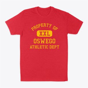 Oswego Illinois Athletic Dept Classic Dad T-Shirt